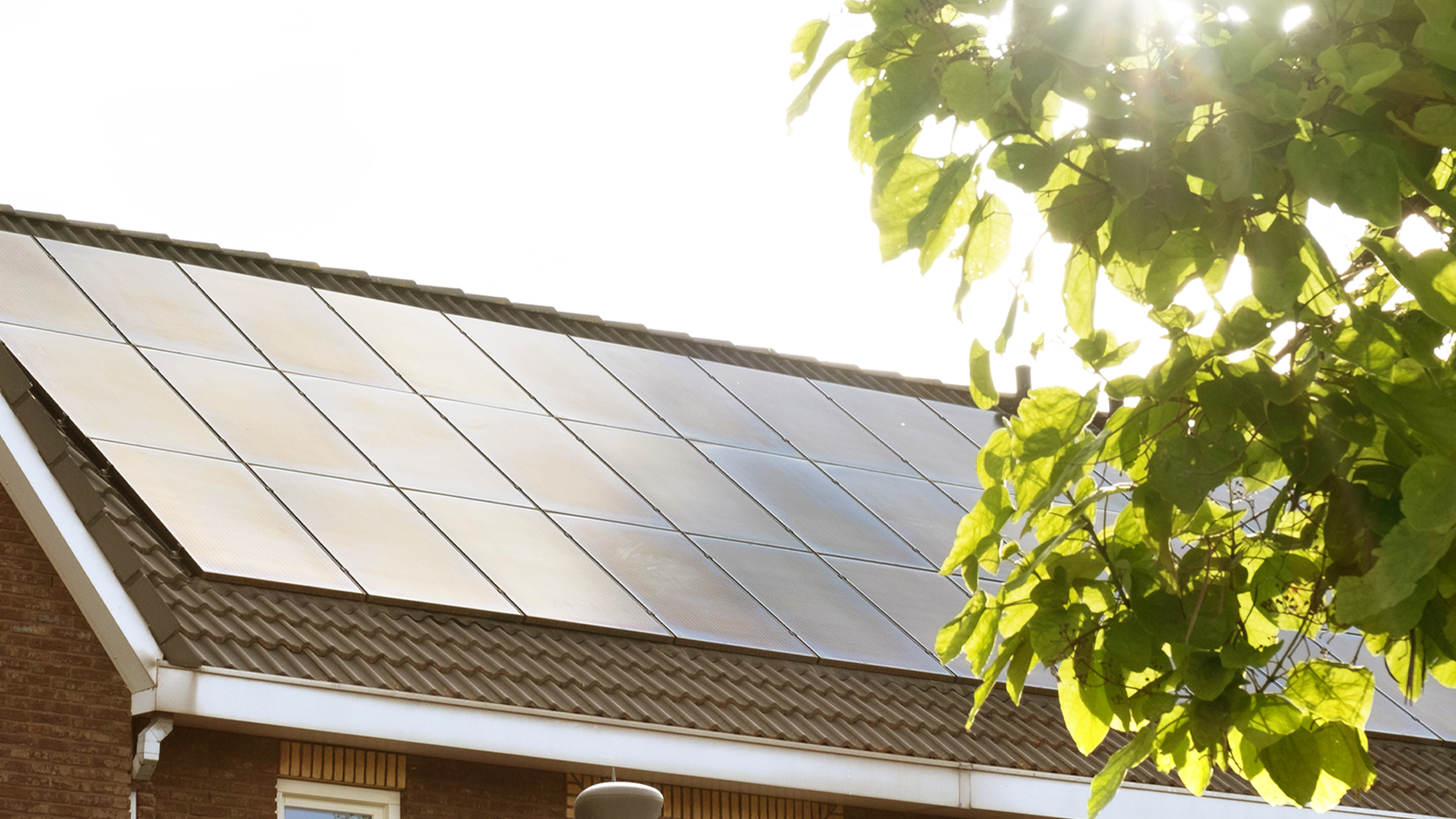 Sunlight falling across a residential rooftop solar panel array on a Filipino home, framed by tree leaves